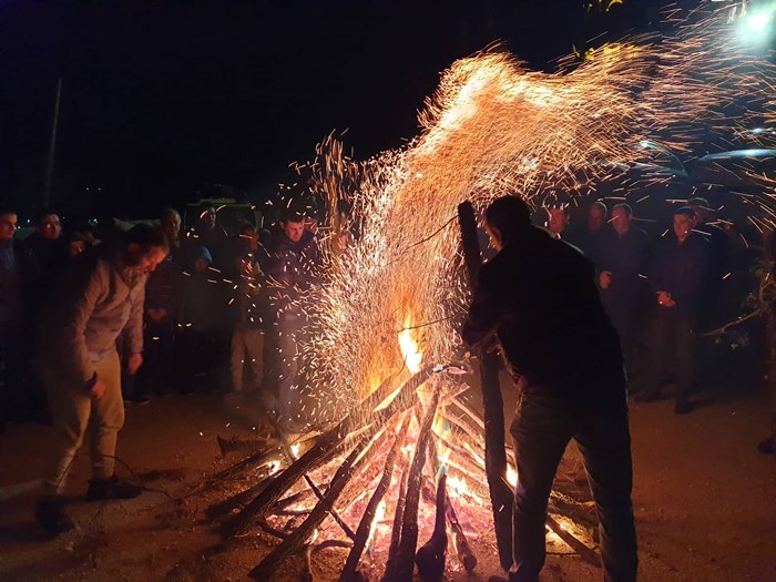 nalaganje badnjaka hrupjela (3).jpg