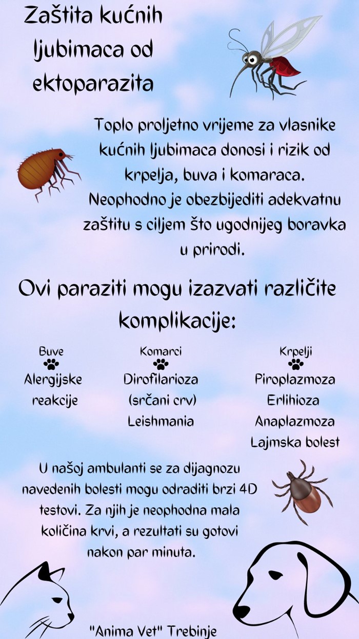 animavet 1.jpg