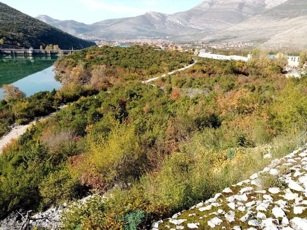 Micevac trebinje3.jpg