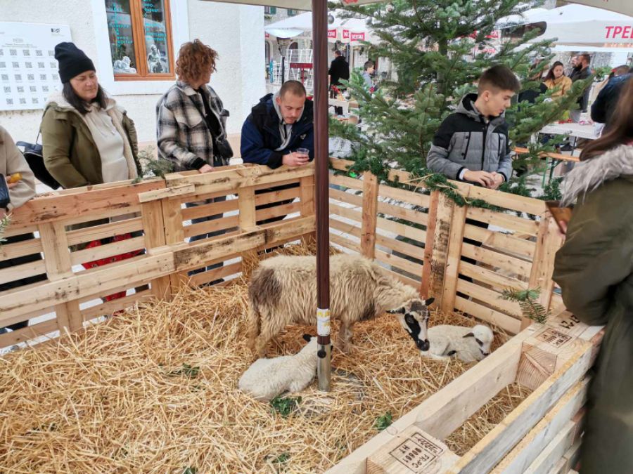 Humanitarni bazar sveti vukasin2.jpg