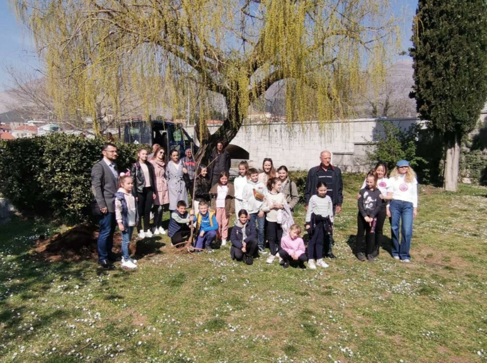 Sadnja medonosno drvo trebinje1.jpg