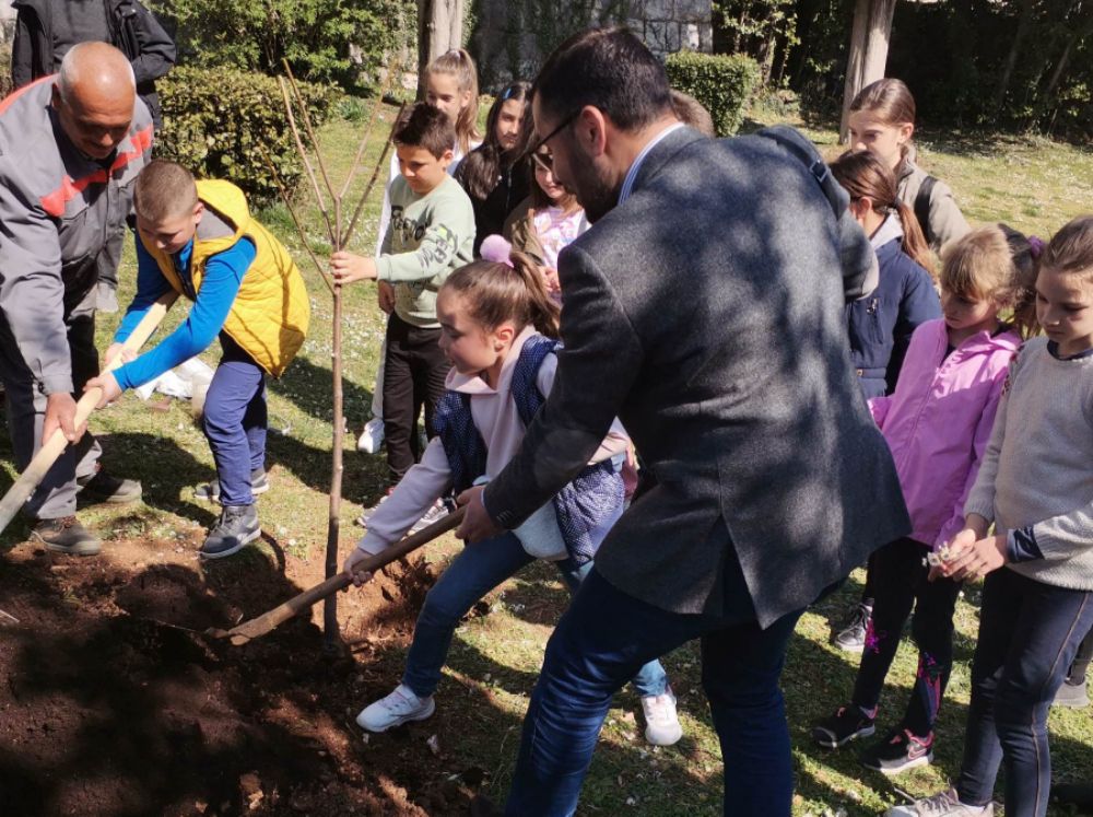 Sadnja medonosno drvo trebinje2.jpg