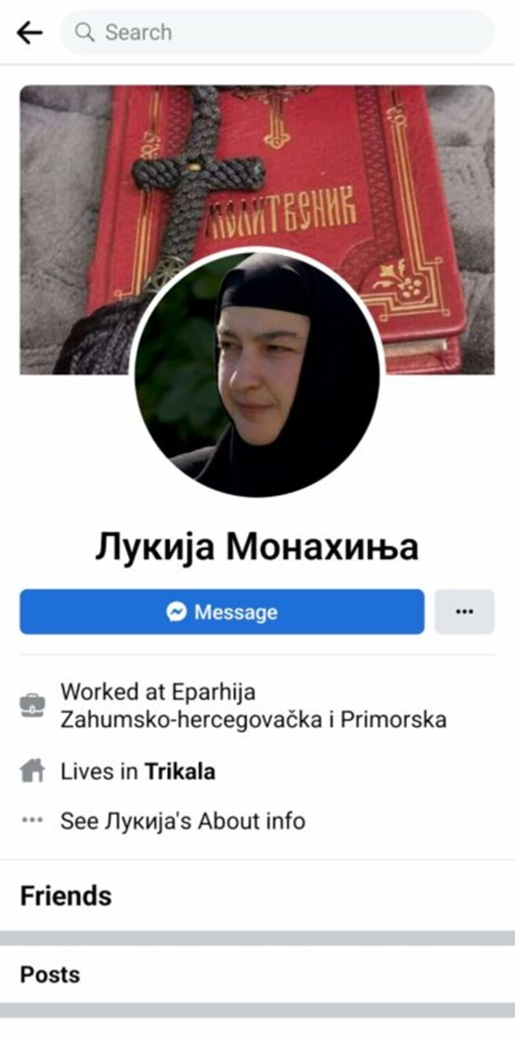 Lazni profil.jpg