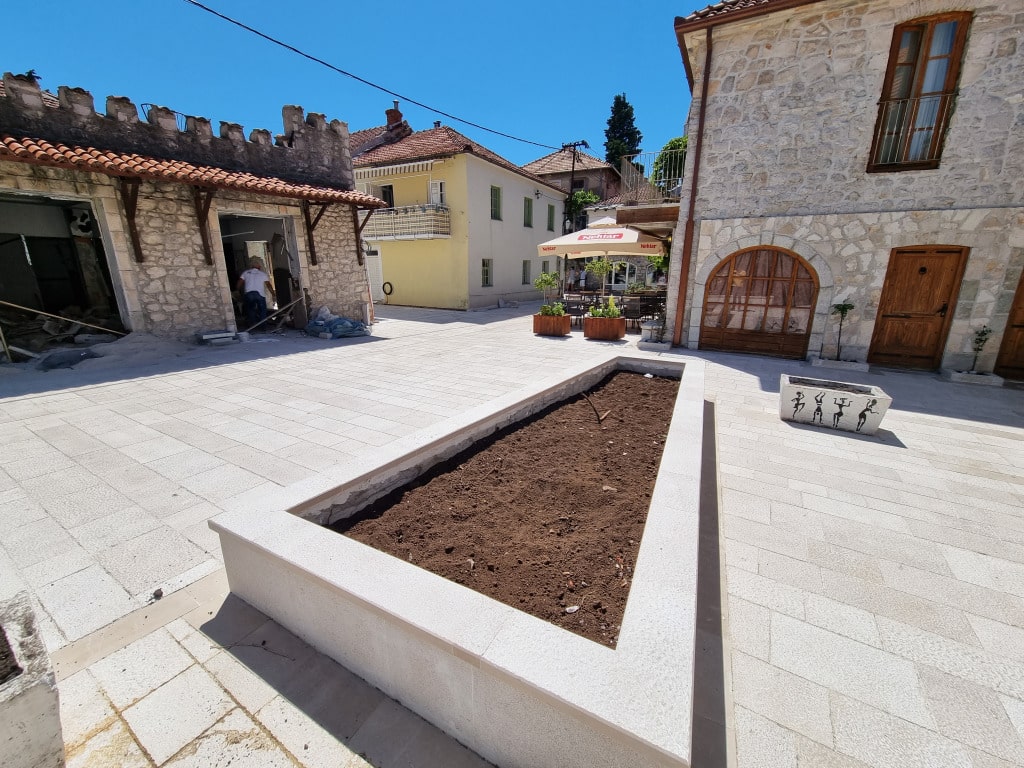 masline stari grad2.jpg