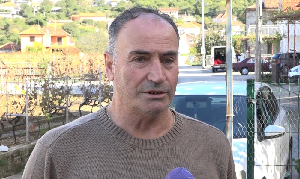 ljuban govedarica.jpg