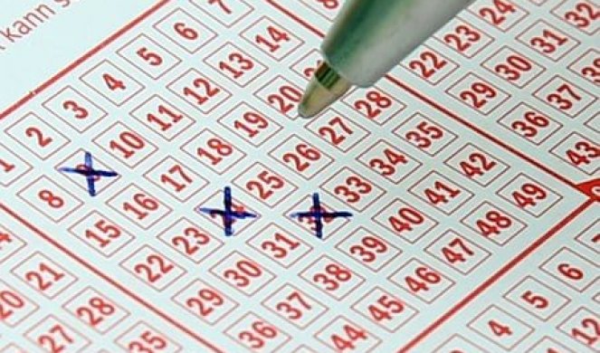 Loto.jpg