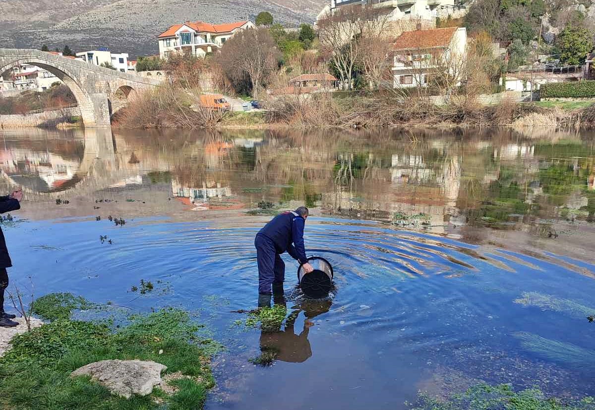 poribljavanje-gorickog-jezera-min.jpg
