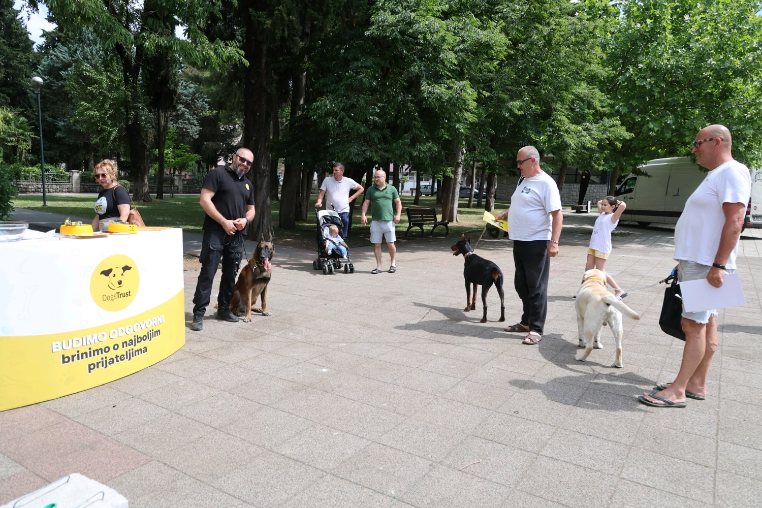 Dogs trust.JPG