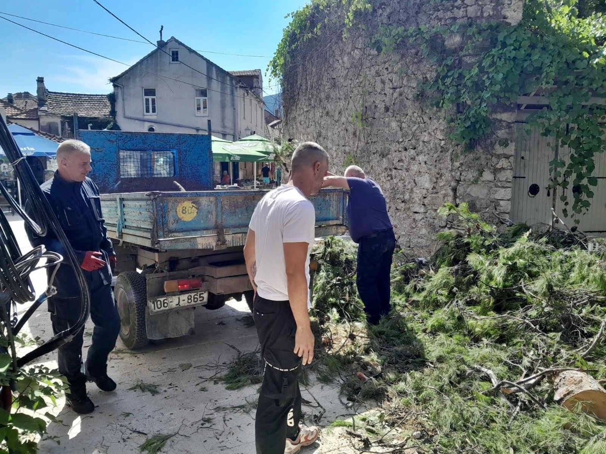 Ekoligija i bezbjednost13.jpg