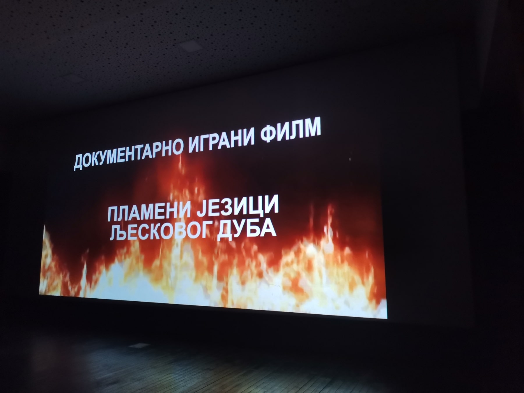 Film ljeskov dub1.jpg