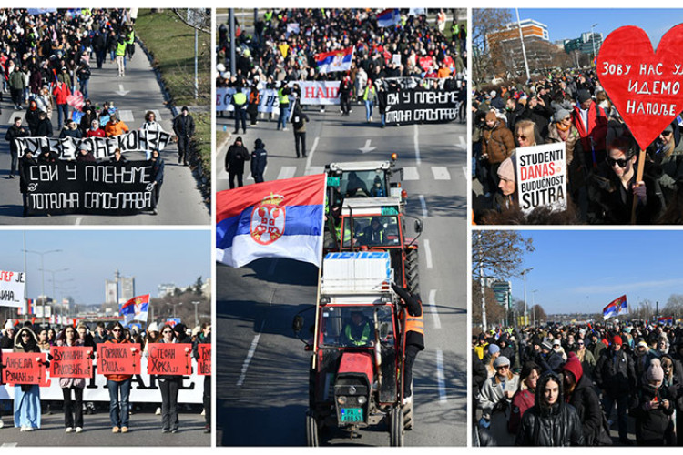 Blokada gazela.jpg
