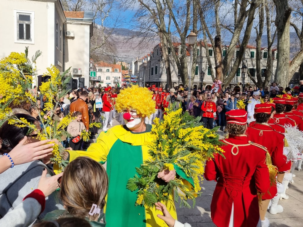 Praznik mimoze trebinje 20251.jpg