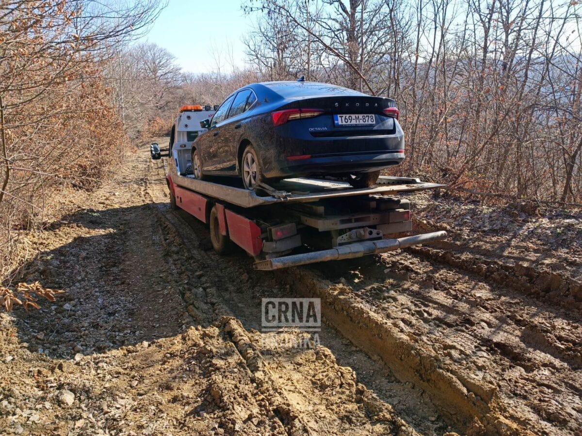 Skoda.jpg