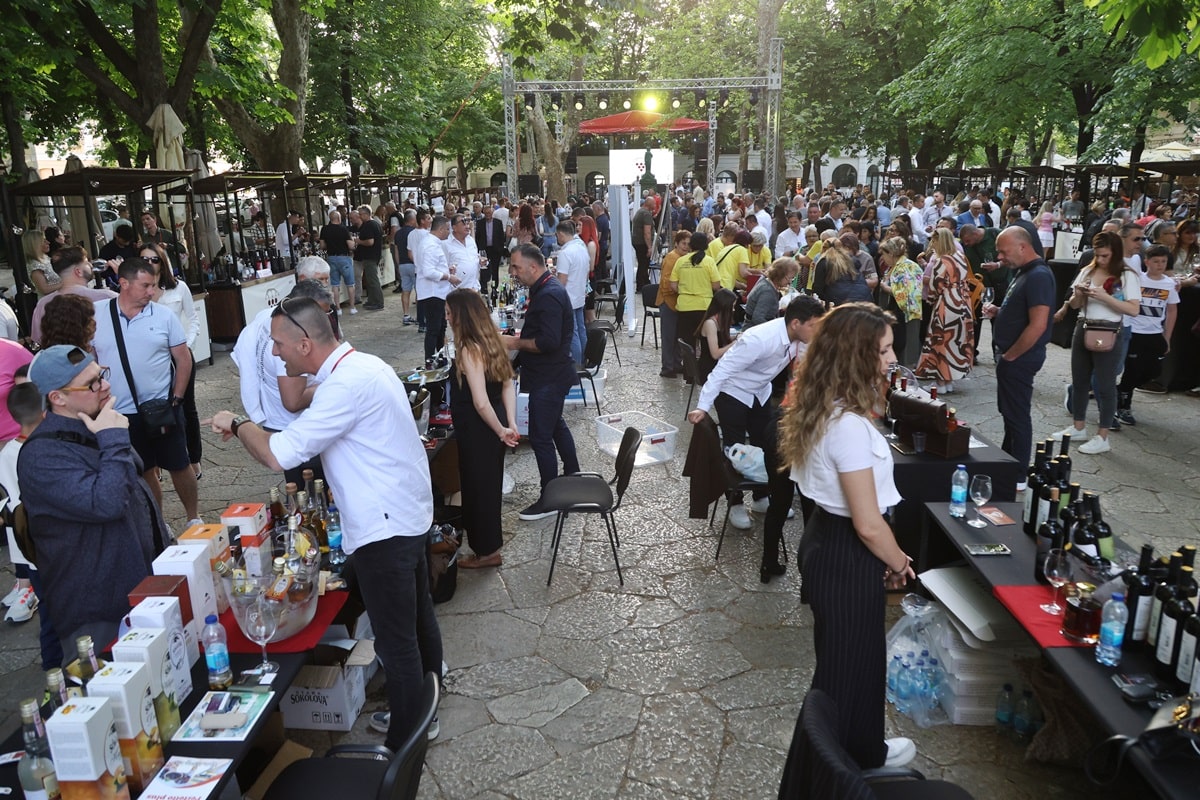 Fedtival vina trebinje 20252.jpeg
