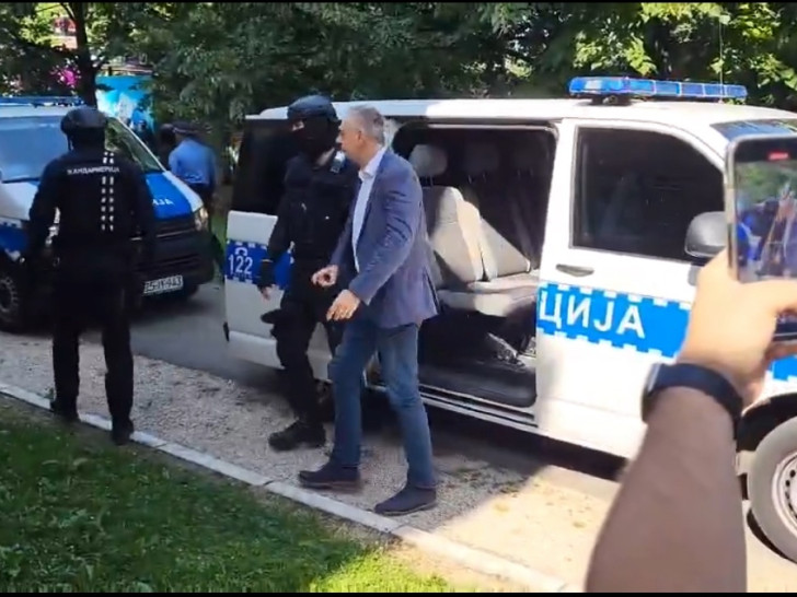 Milicevic.jpg