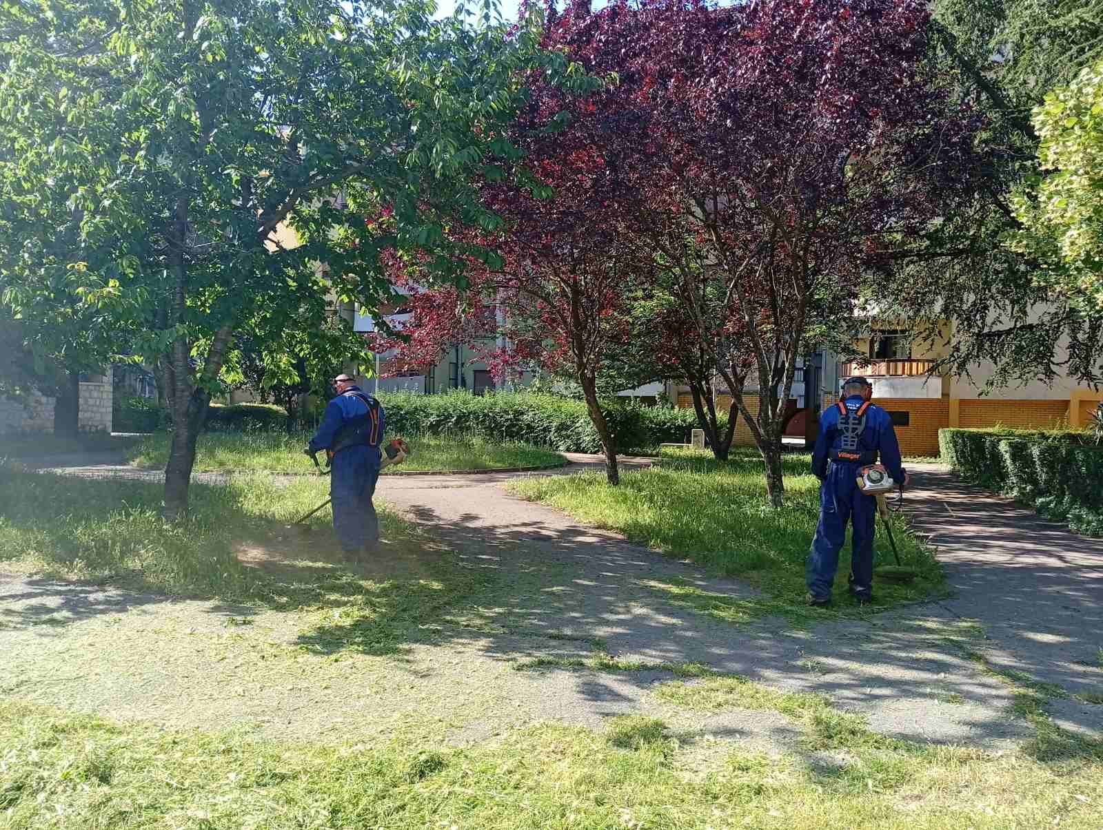 radnici ekologija i bezbjednost6.jpg