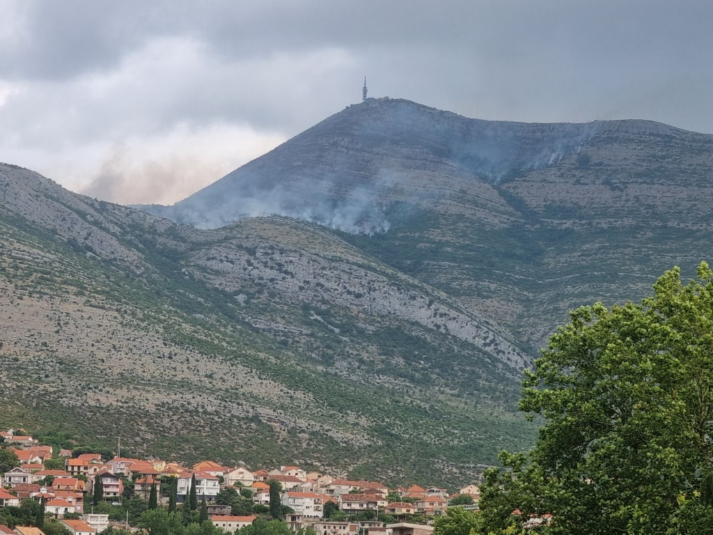 Pozar leotar.jpg