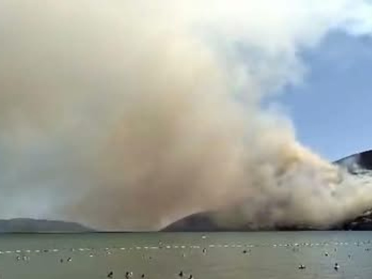 Pozar njivice herceg novi.jpg