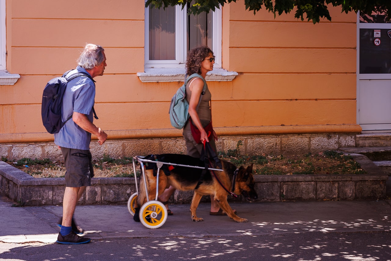 Subota jul 20255.jpg