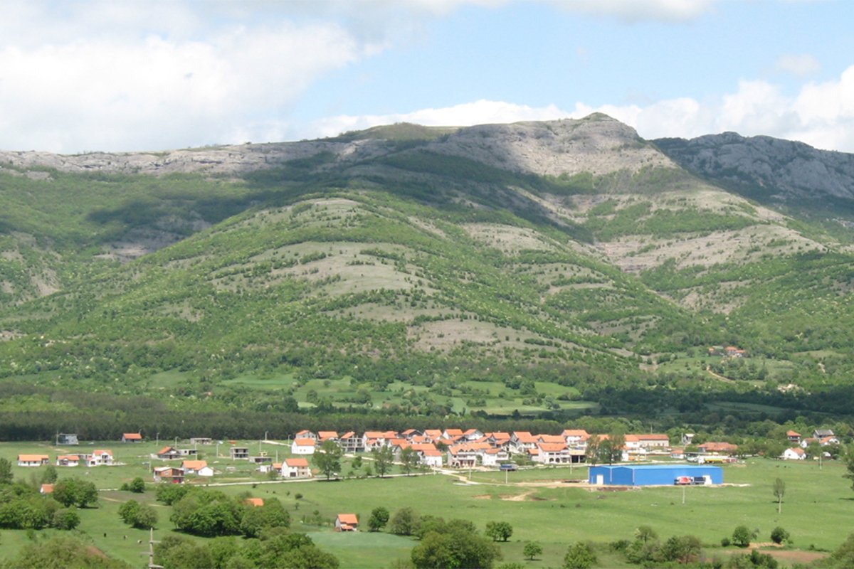 berkovici.jpg