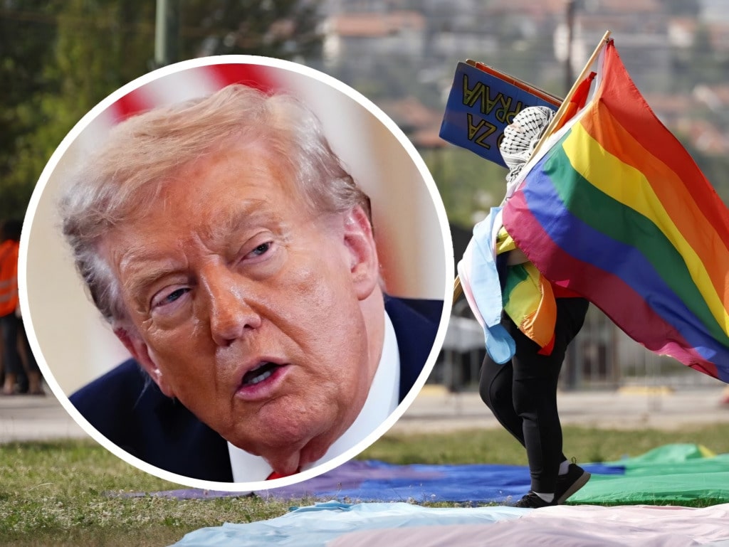 Tramp lgbt.jpg