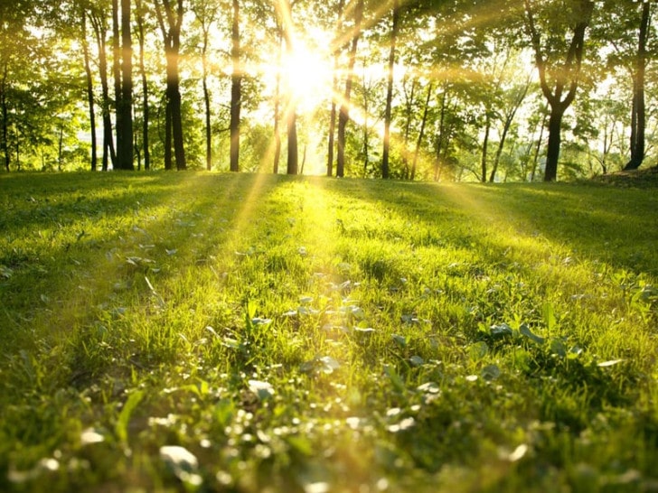 Sunce.jpg