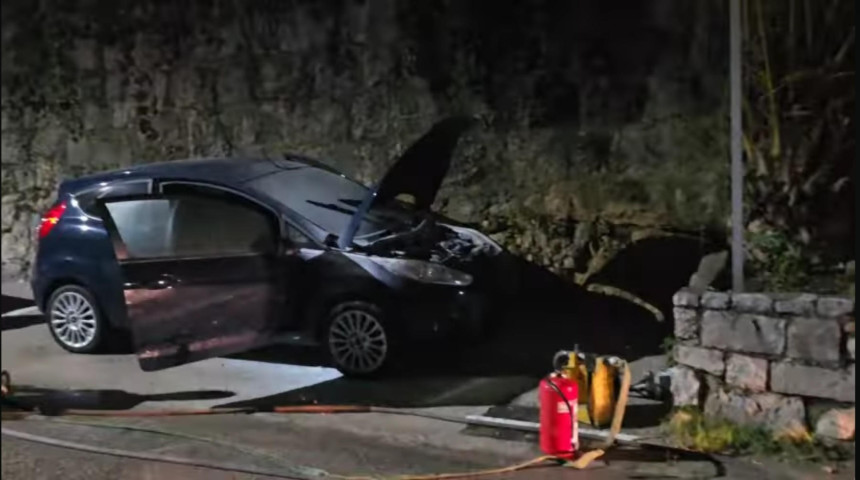 Vukanovic auto.jpg