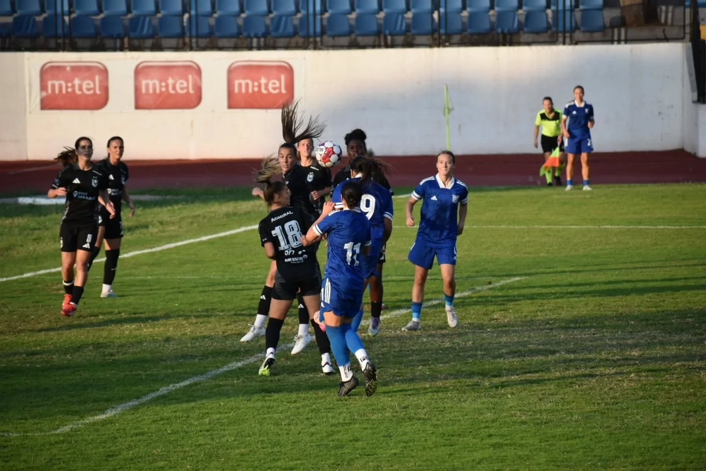 Zfk leotar.jpg