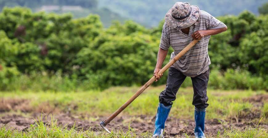 farmer-kopa-motikom.jpg