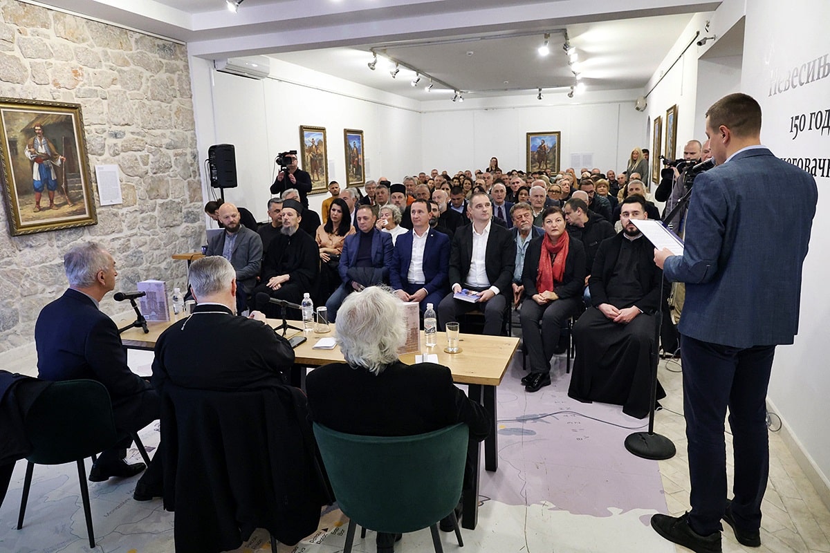 Ducic 1-min.jpg