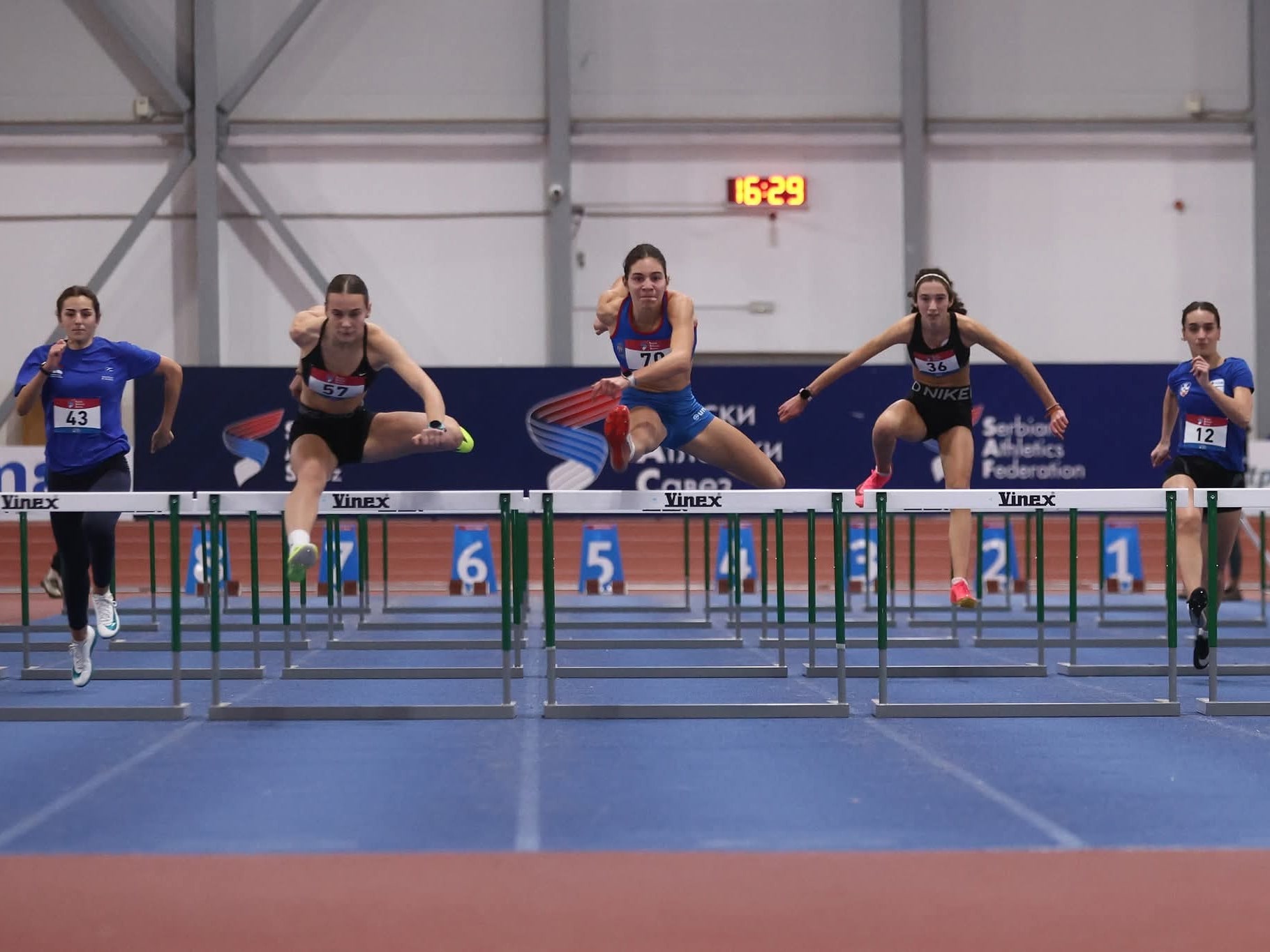 Sara mijanovic1.jpg
