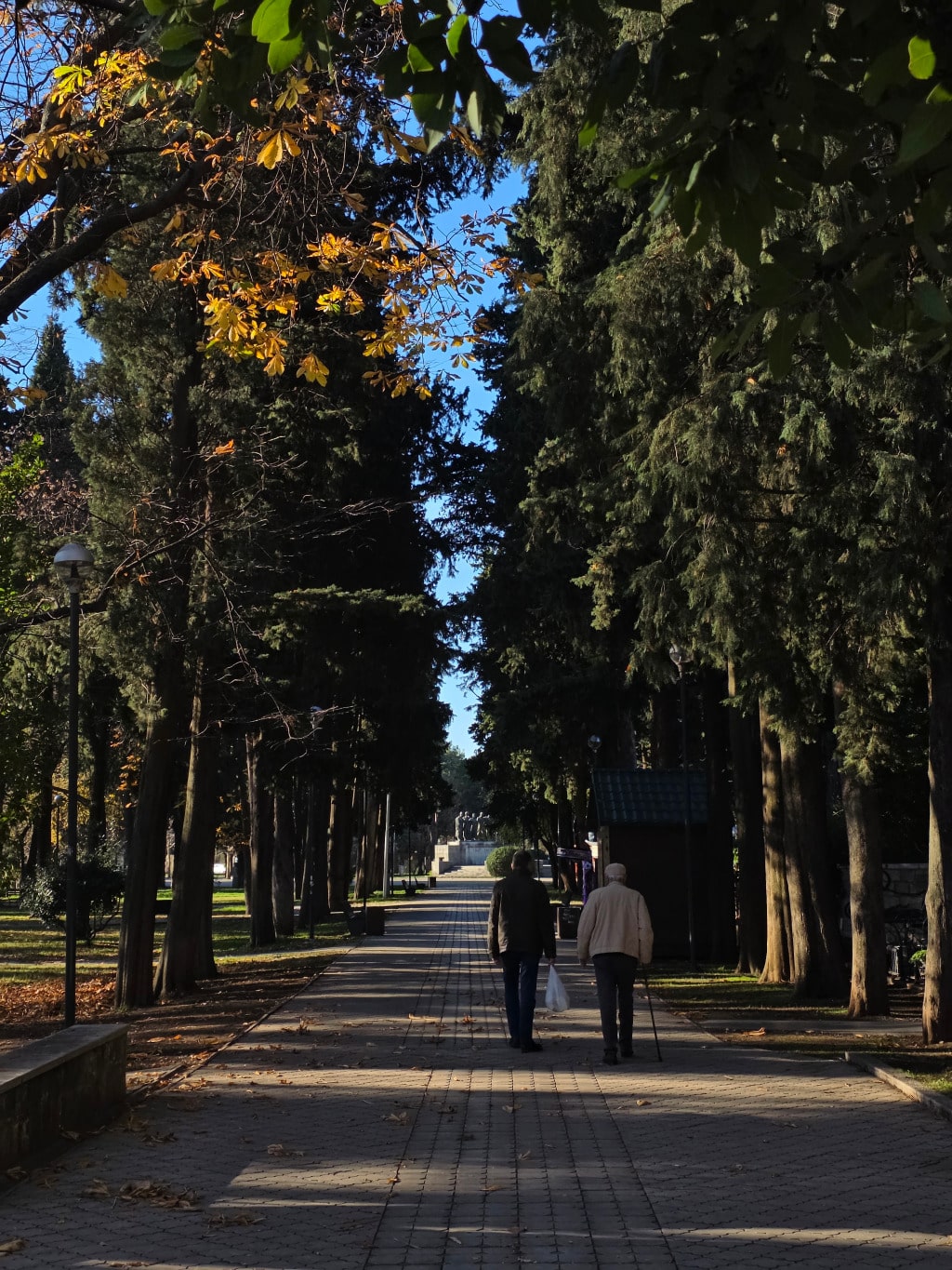 Sunce trebinje decembar 20251.jpg