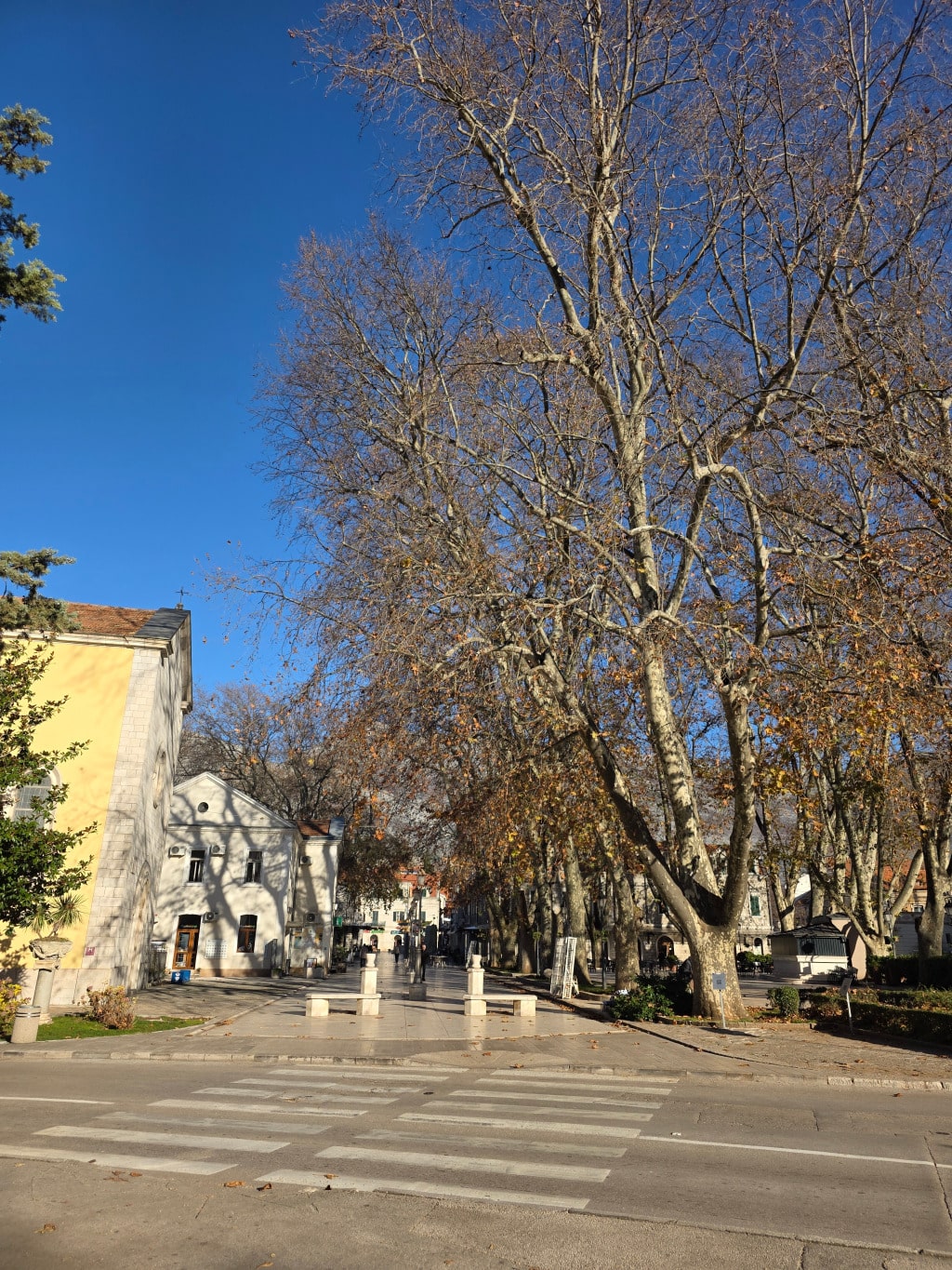 Sunce trebinje decembar 20254.jpg