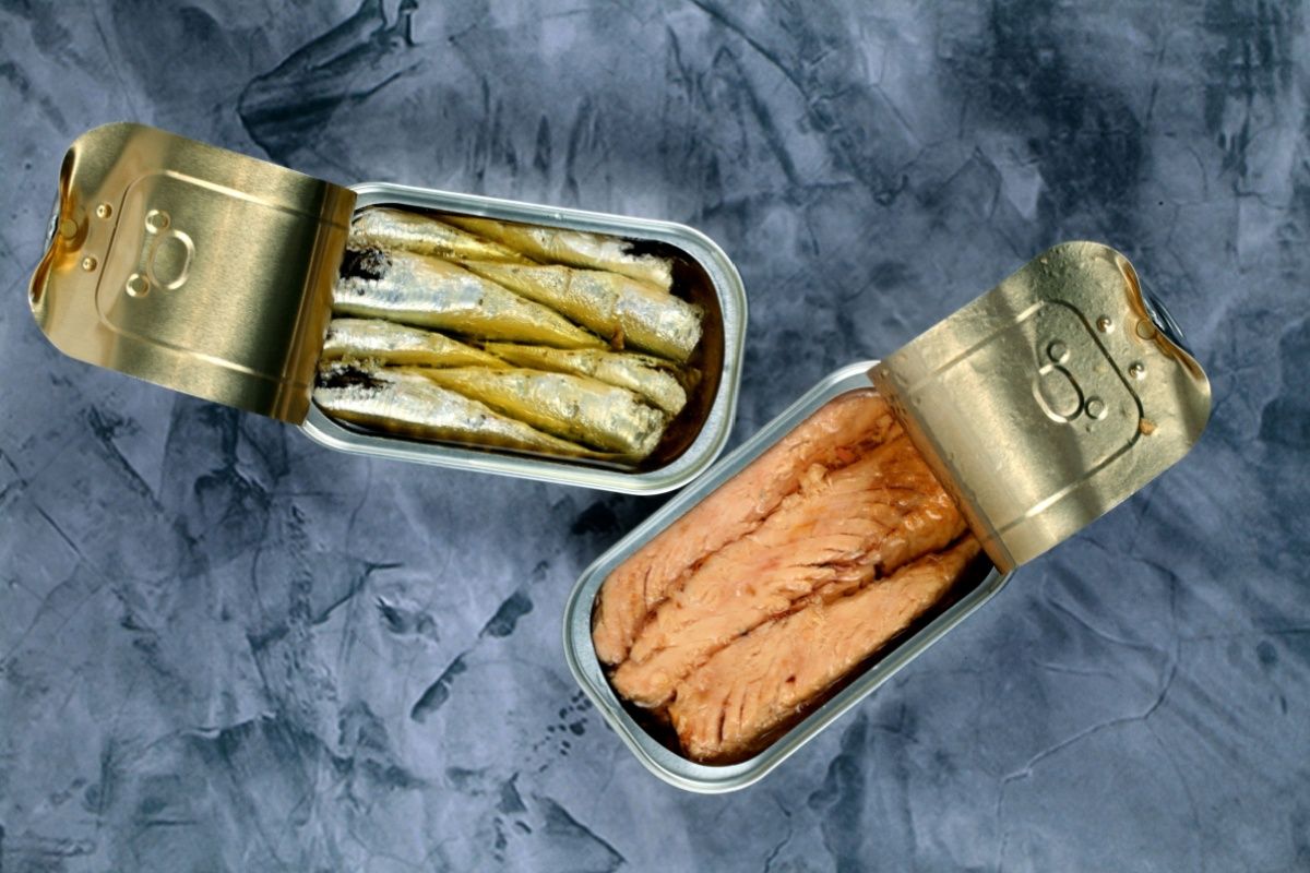 sardine-i-tunjevina-shutterstock2396241549-1200x0.jpeg