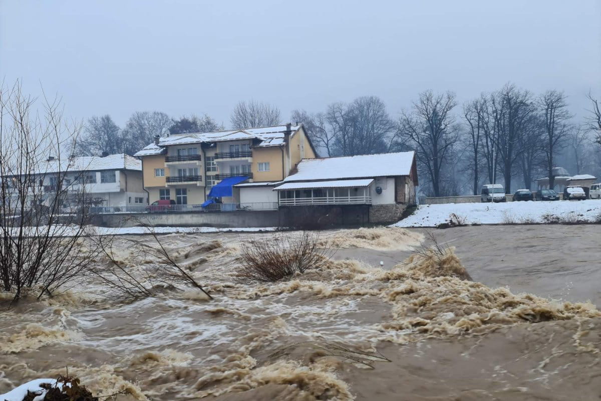 Drina foca.jpeg