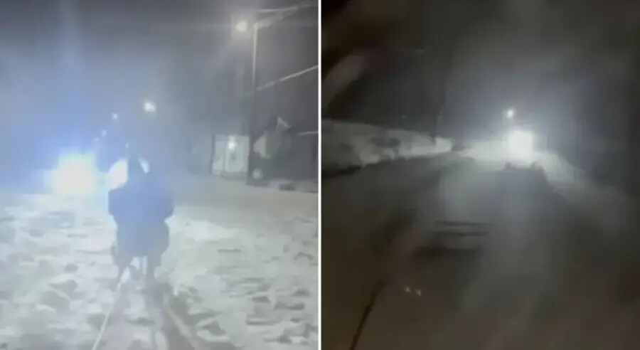 Kraljrvo nesrexa.jpeg