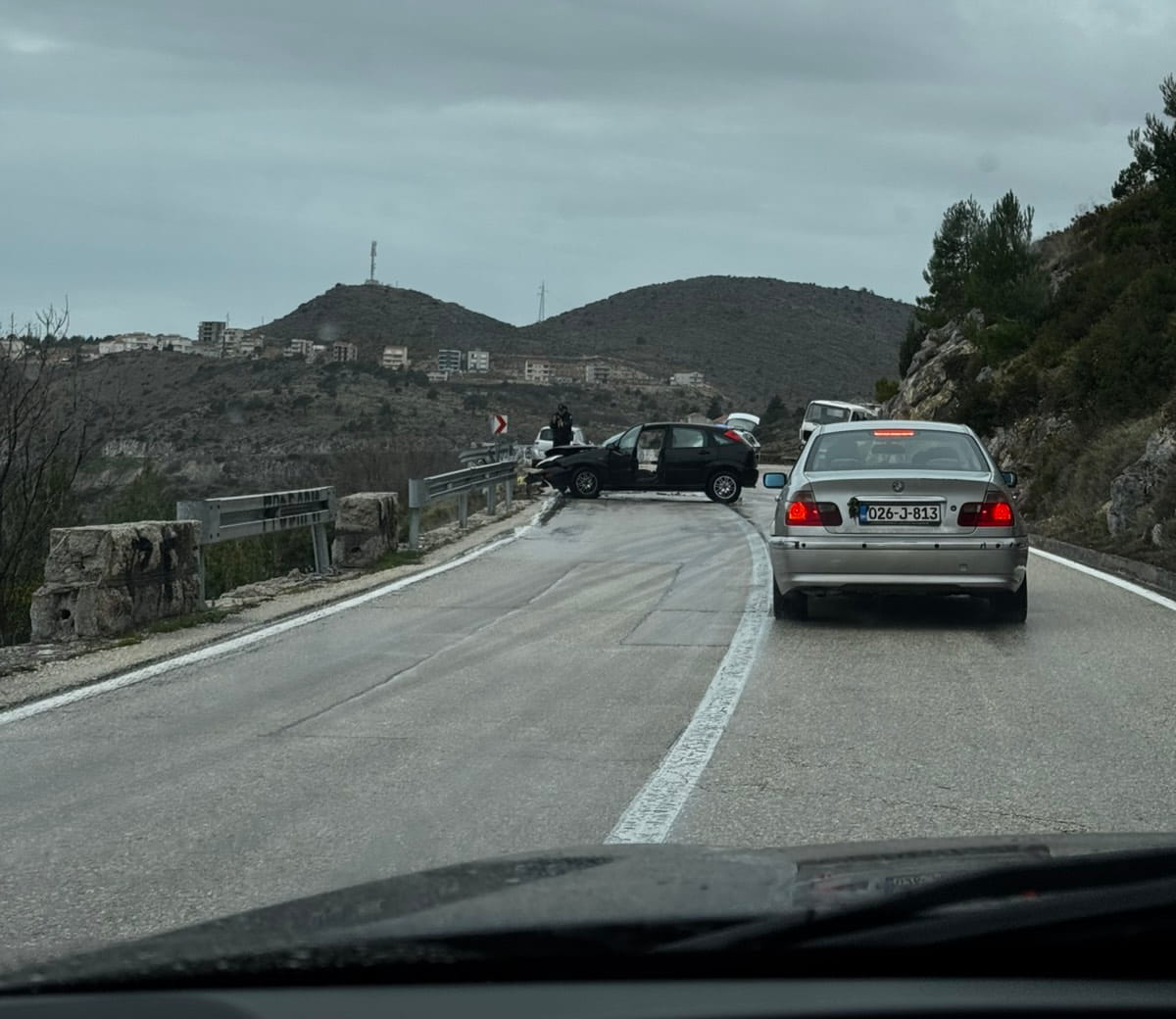 Nezgoda ivanica.jpeg