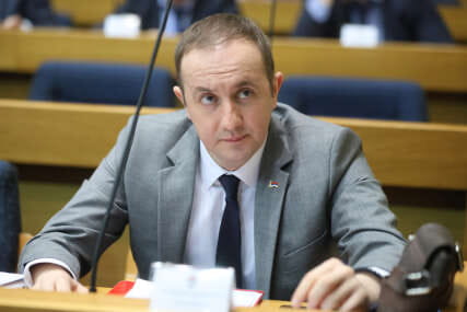 Ognjen Bodiroga.jpeg