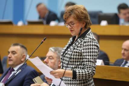 Zora vidovic.jpeg