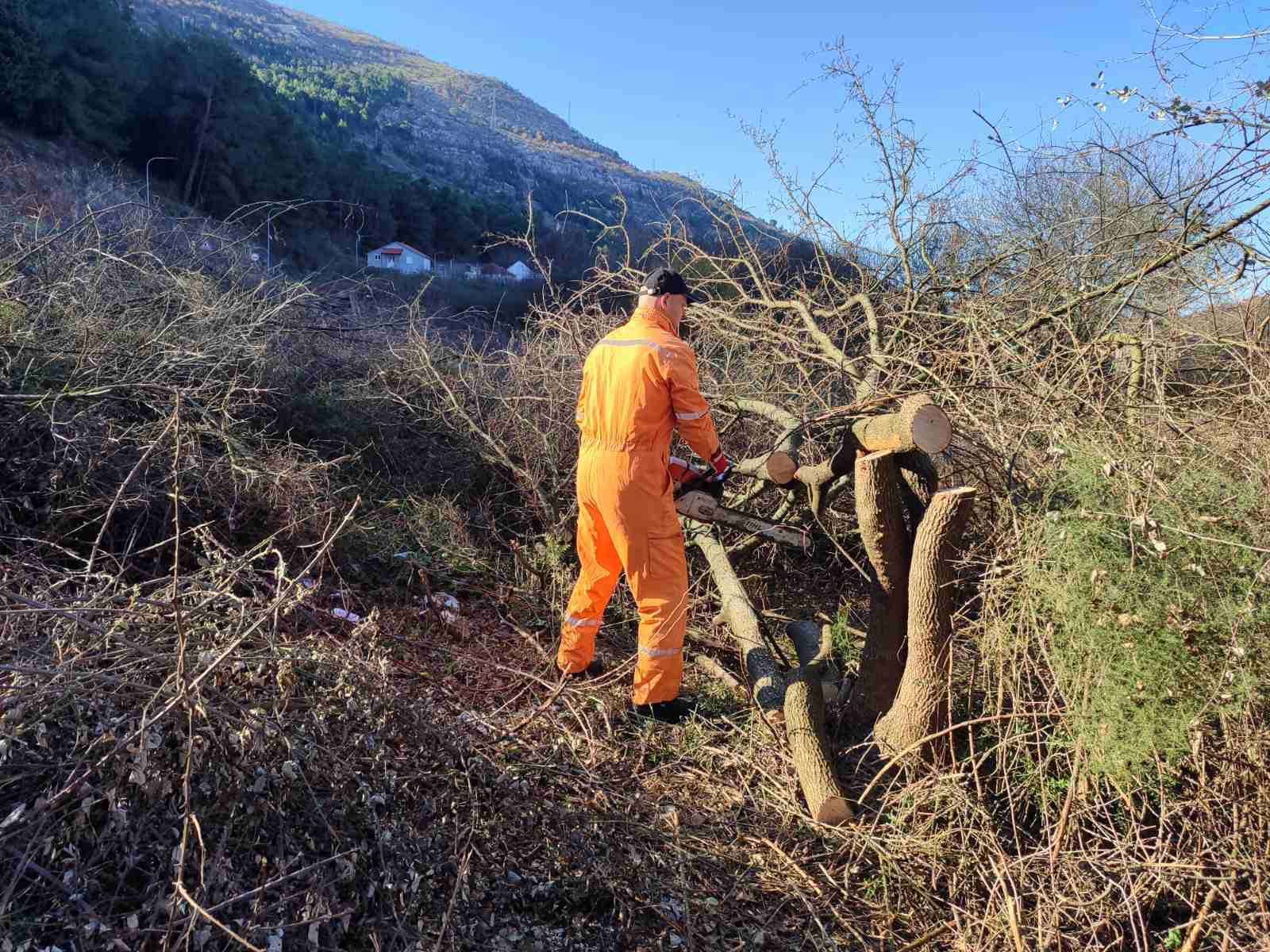 Vrtic sredjivanje2.jpeg