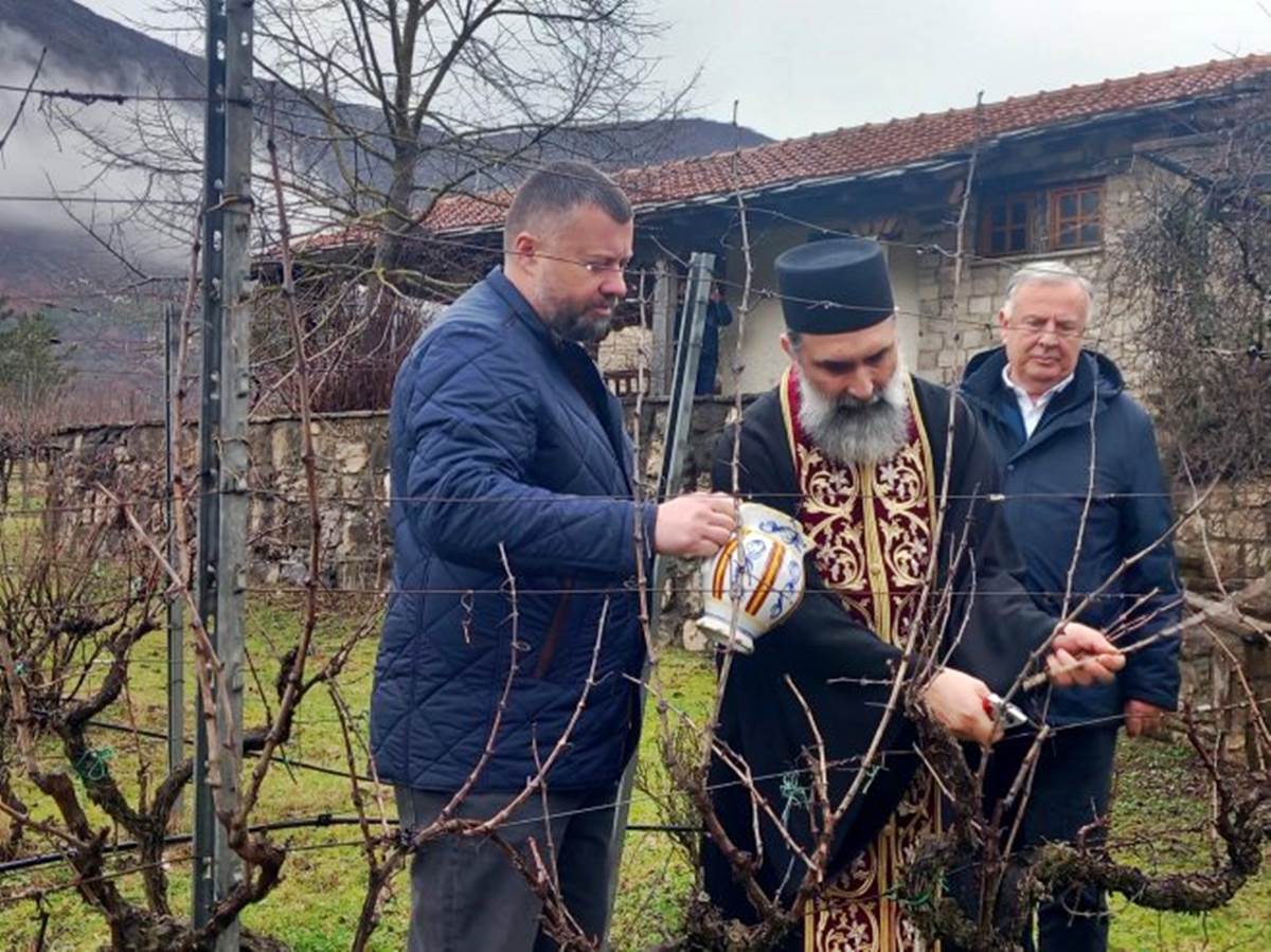 Vukoje carski vinogradi.jpg