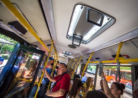 Bus svadja.jpeg