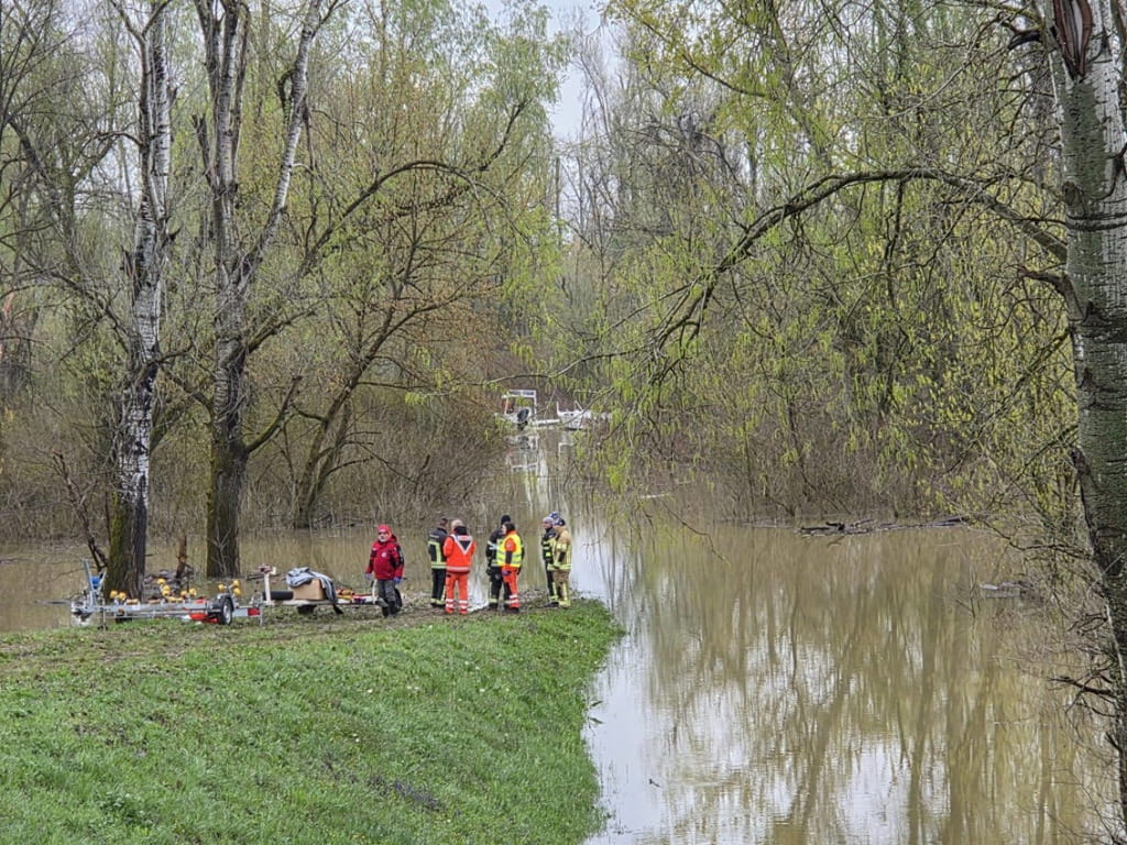 Sava mocvara.jpg