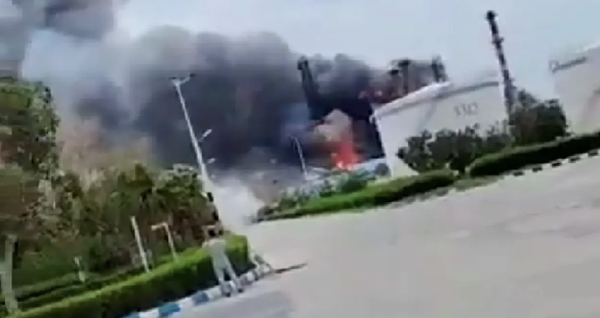Iran orekid.jpeg