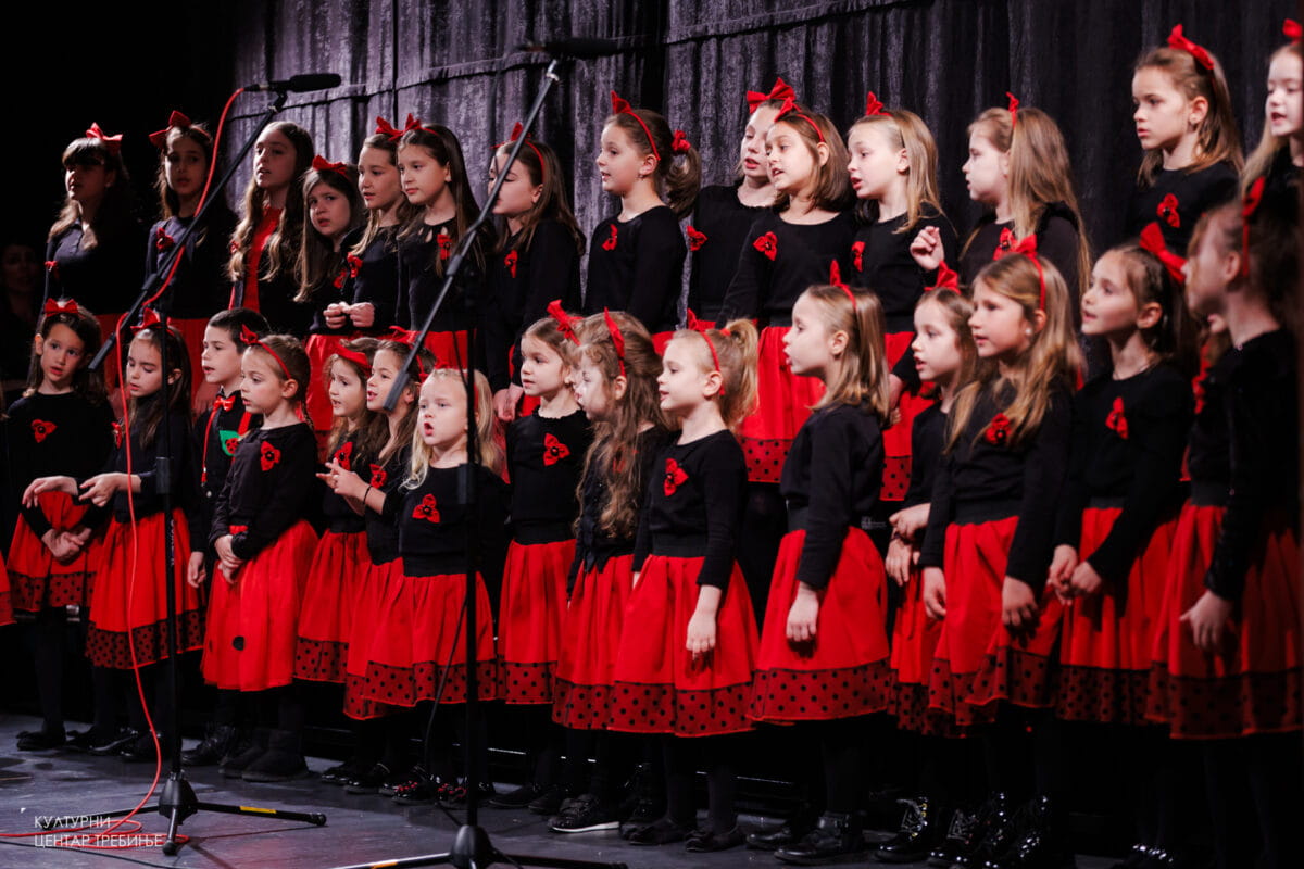 Koncert tribunia goca kovacina3.jpg