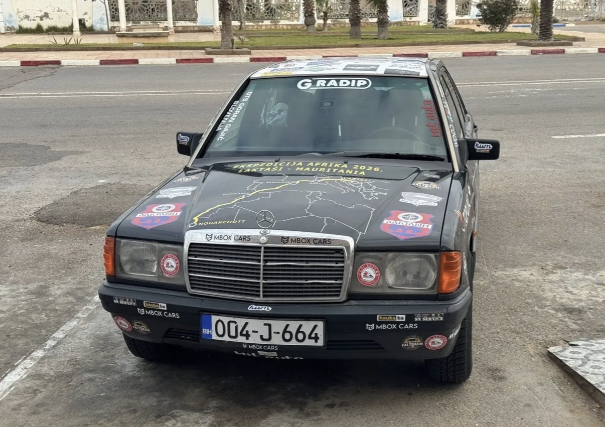 Latasi amuritanija1.jpeg