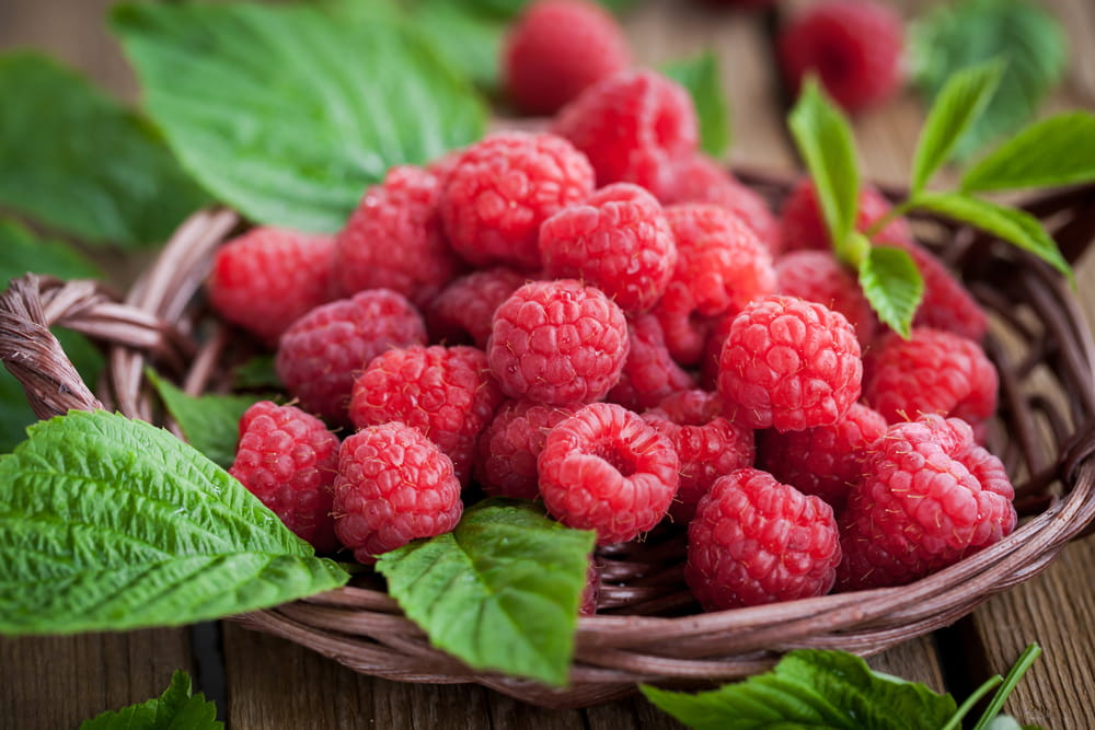 Maline.jpeg