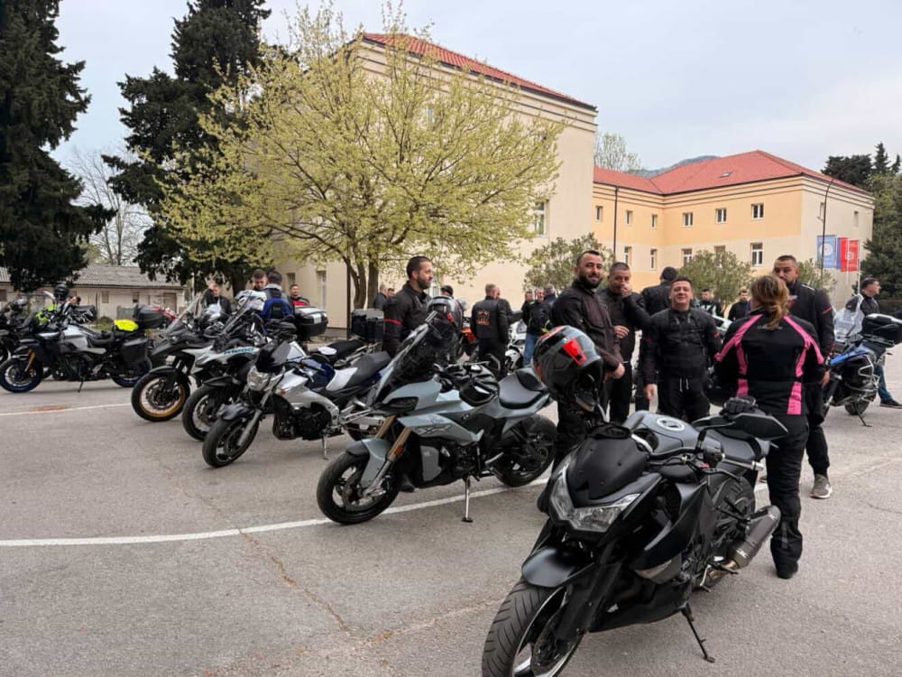 Motori.jpeg