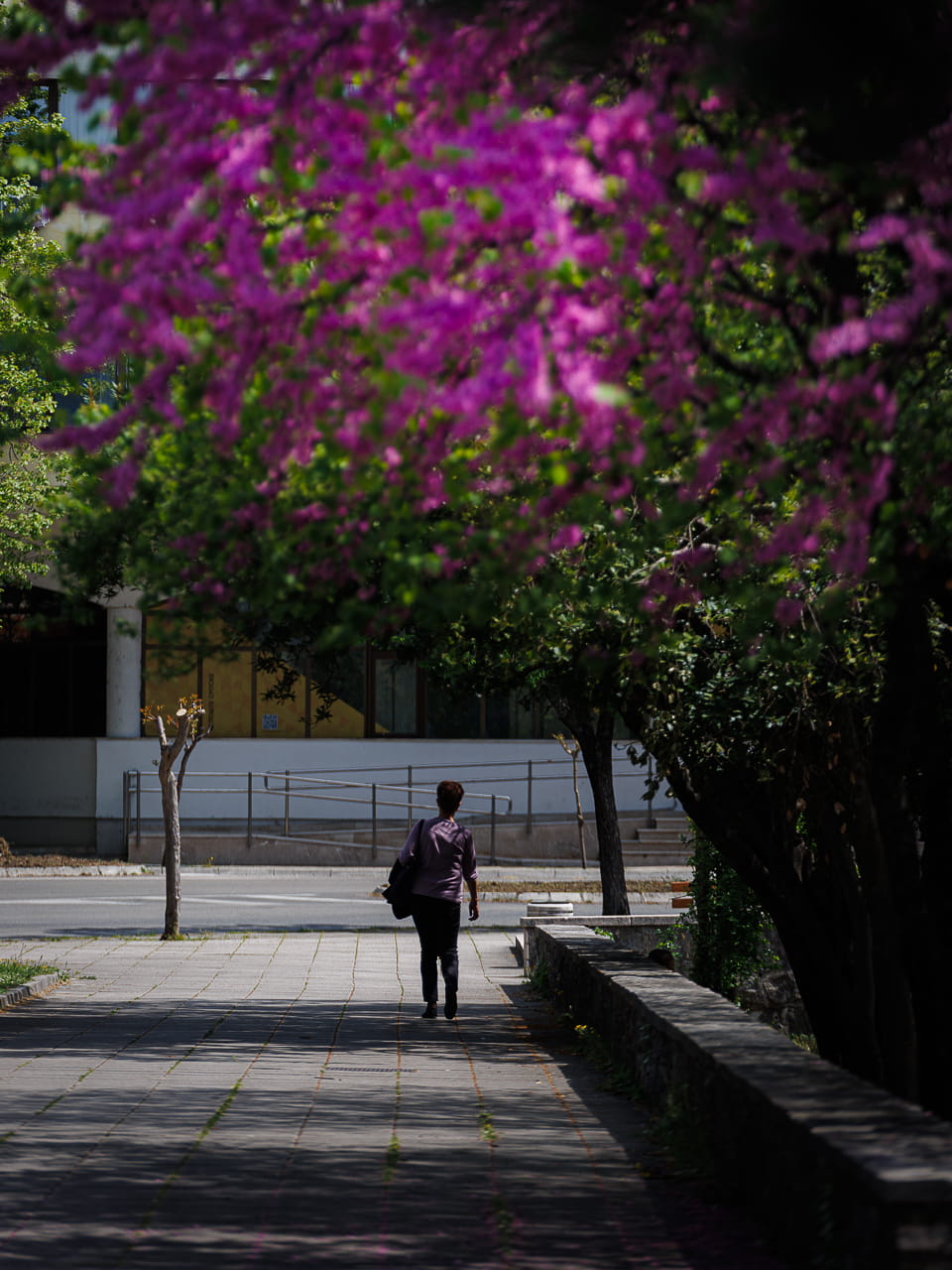Subota april 2026 trebinje27.jpg