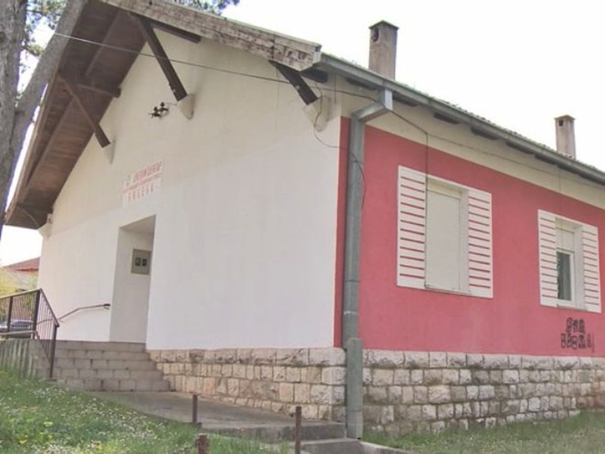 Udruzenje djece sa potrskocama.jpeg